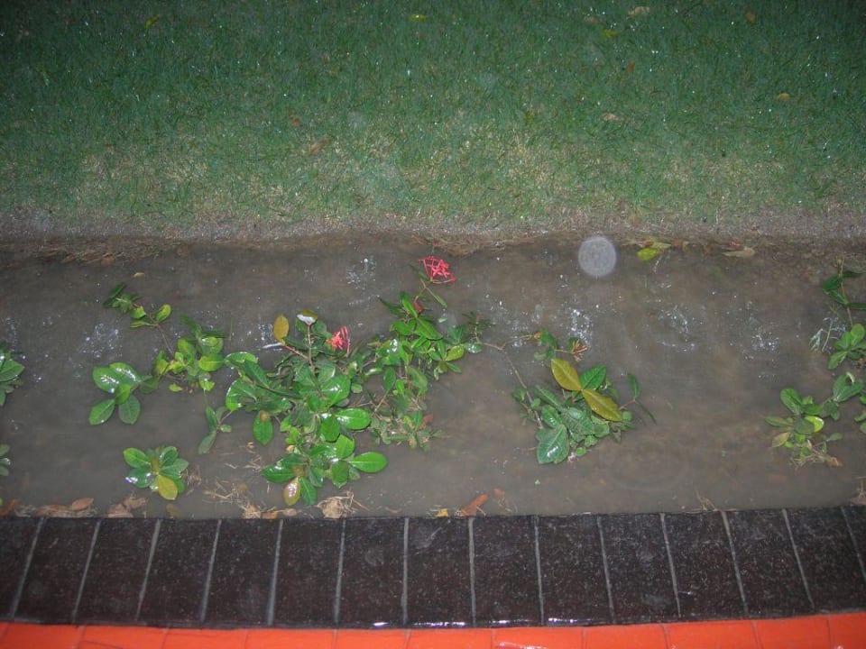 Nach dem 'kleinen' Regenschauer Grand Palladium Select Bávaro Resort & Spa