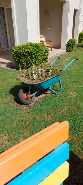 Gartenanlage Jaz Soma Beach
