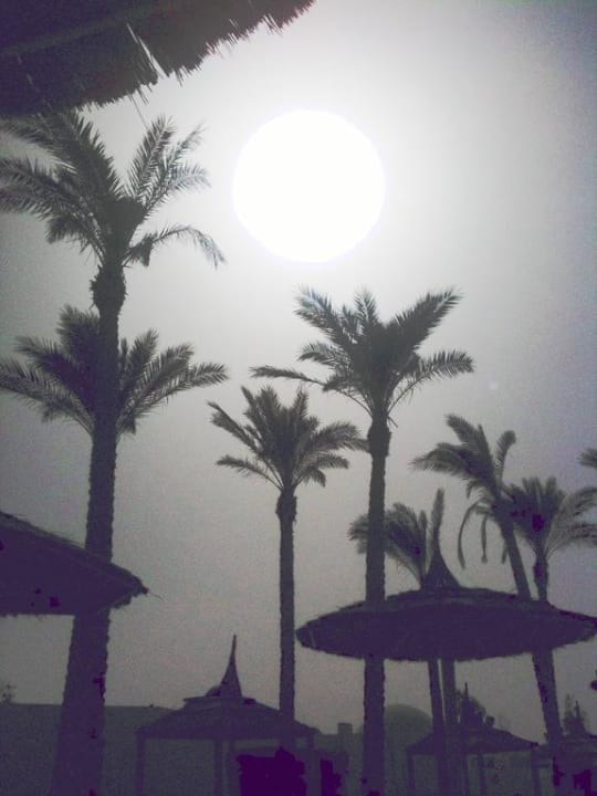 Strand bei Sandsturm Pickalbatros Alf Leila Wa Leila Resort - Neverland Hurghada