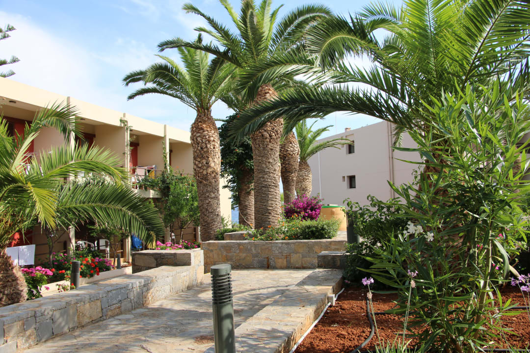 Hotel's garden  allsun Hotel Malia Beach