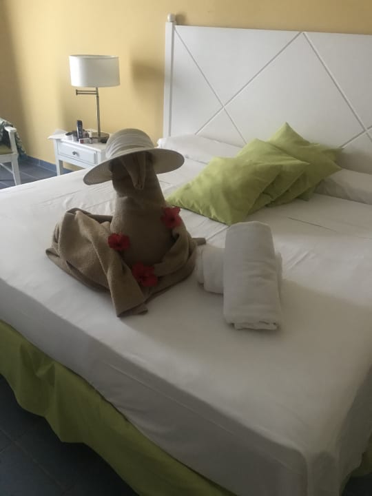 Zimmer Iberostar Origin Taínos