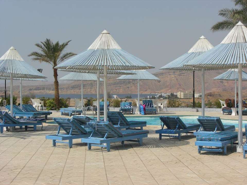 Pool Albatros Sharm Resort