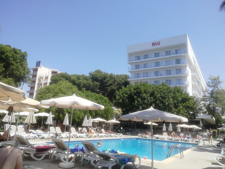 Pool Hotel Riu Festival