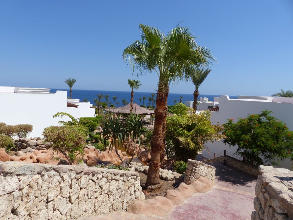 Von oben aus den Blick aufs Meer Renaissance Sharm El Sheikh Golden View Beach Resort
