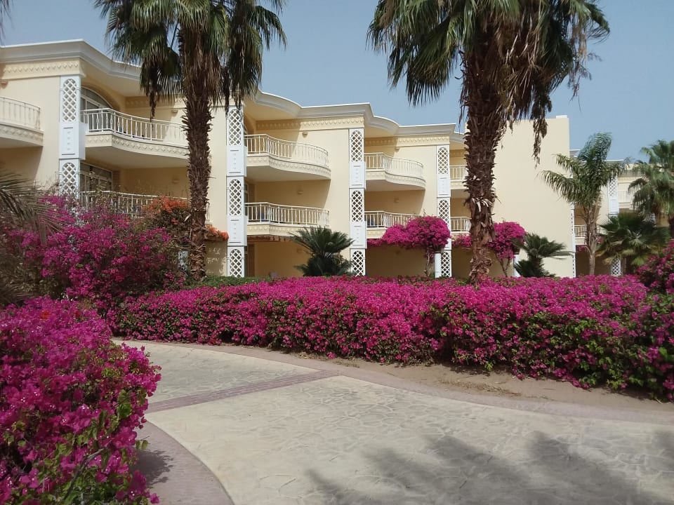 Blick auf den rechten  Hotel Trakt  Palm Royale Resort - Soma Bay