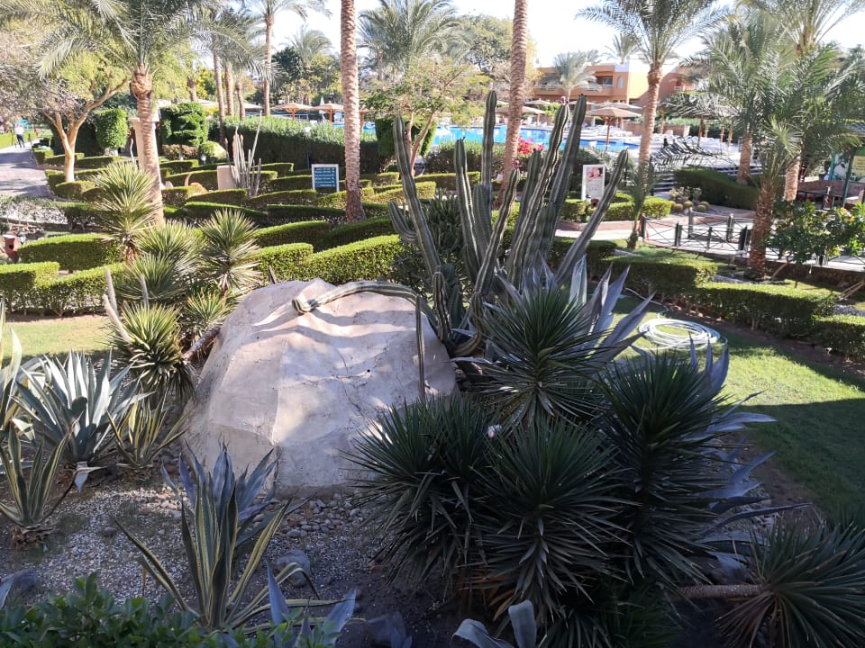 Gartenanlage Golden Beach Resort