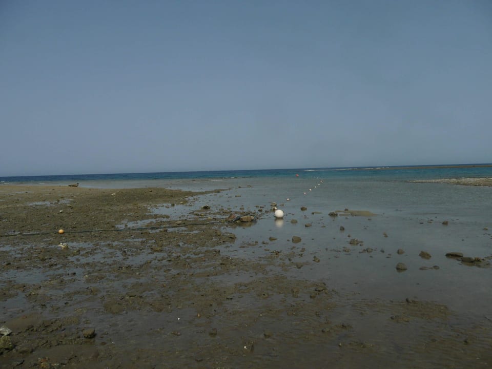 Bei Ebbe Three Corners Equinox Beach Resort