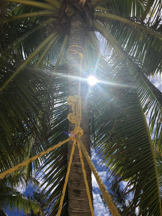 Hängematte vor Bungalow Summer Island Maldives