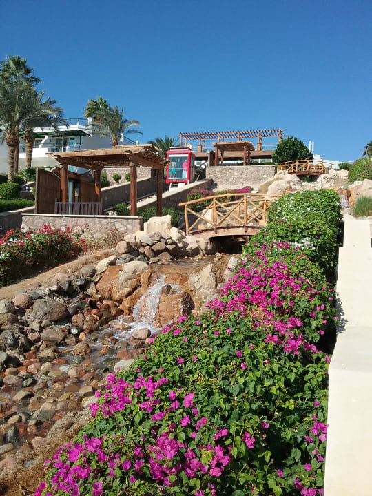 Gartenanlage Safir Sharm Waterfalls Resort