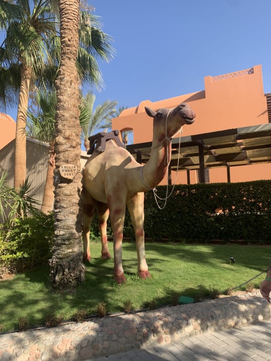 Gartenanlage Hotel JAZ Makadi Star & Spa