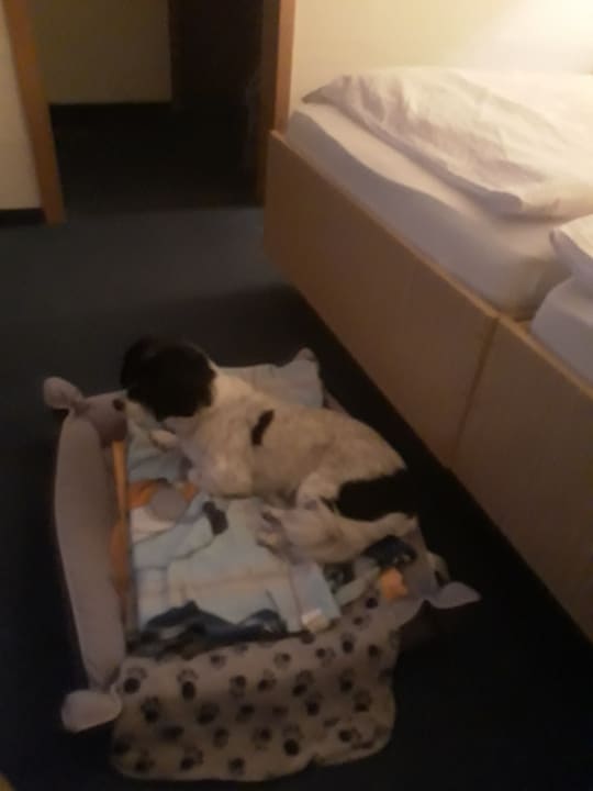 Zimmer Gasthof Zum Walfisch