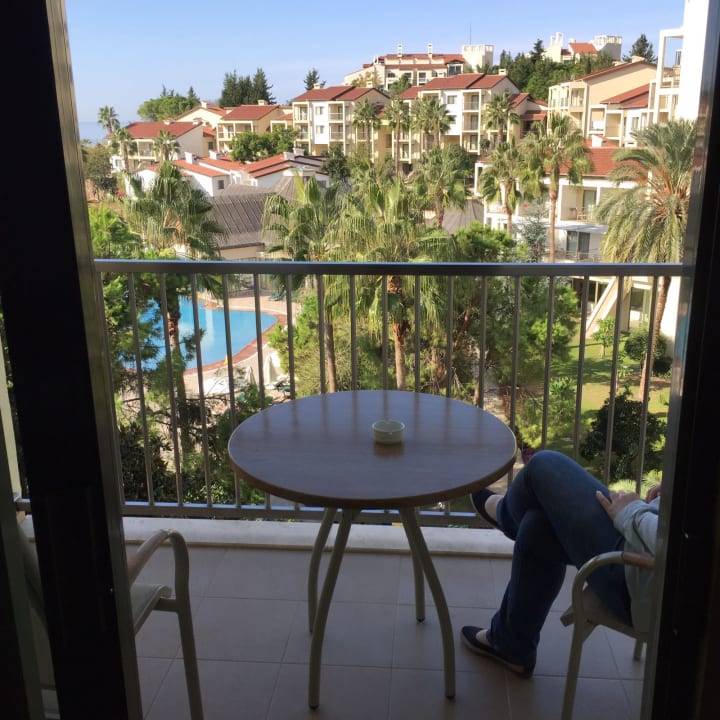 Zimmer Arum Barut Collection