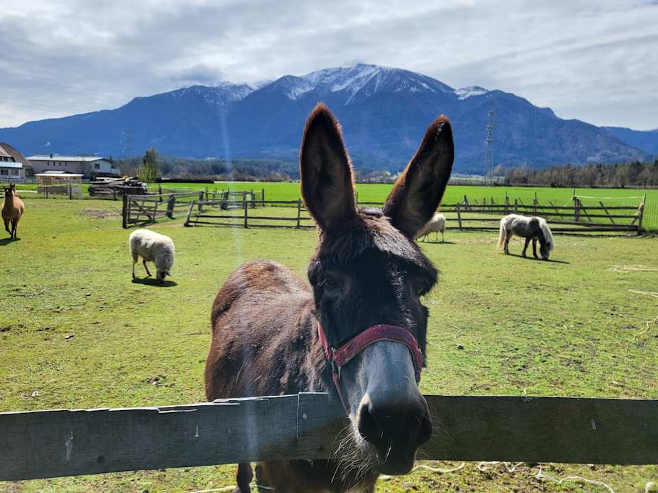 Außenansicht Appartements und Vinoteka David
