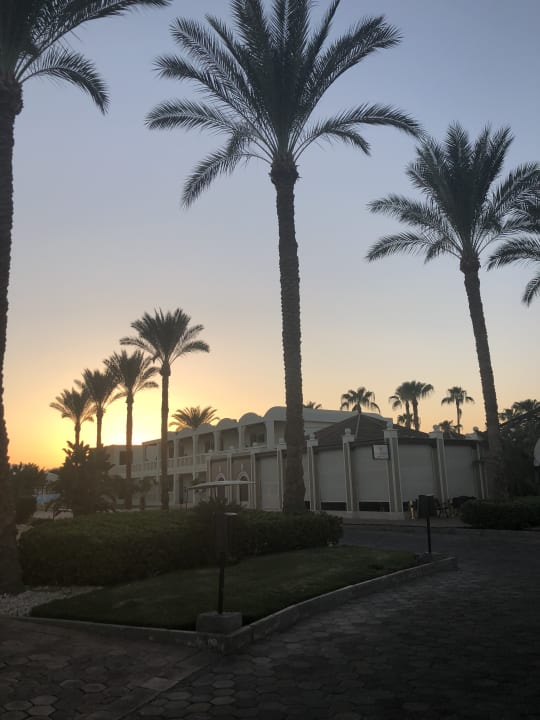 Außenansicht Reef Oasis Beach Resort