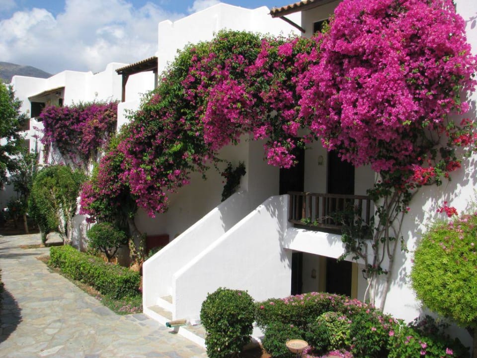 Gartenanlage Alexander Beach Hotel & Village Resort