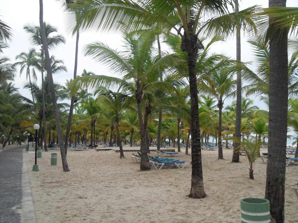 Traumhafter Strand Hotel Riu Bambu