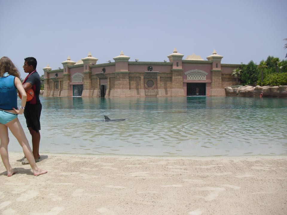 Delfine! Atlantis, The Palm