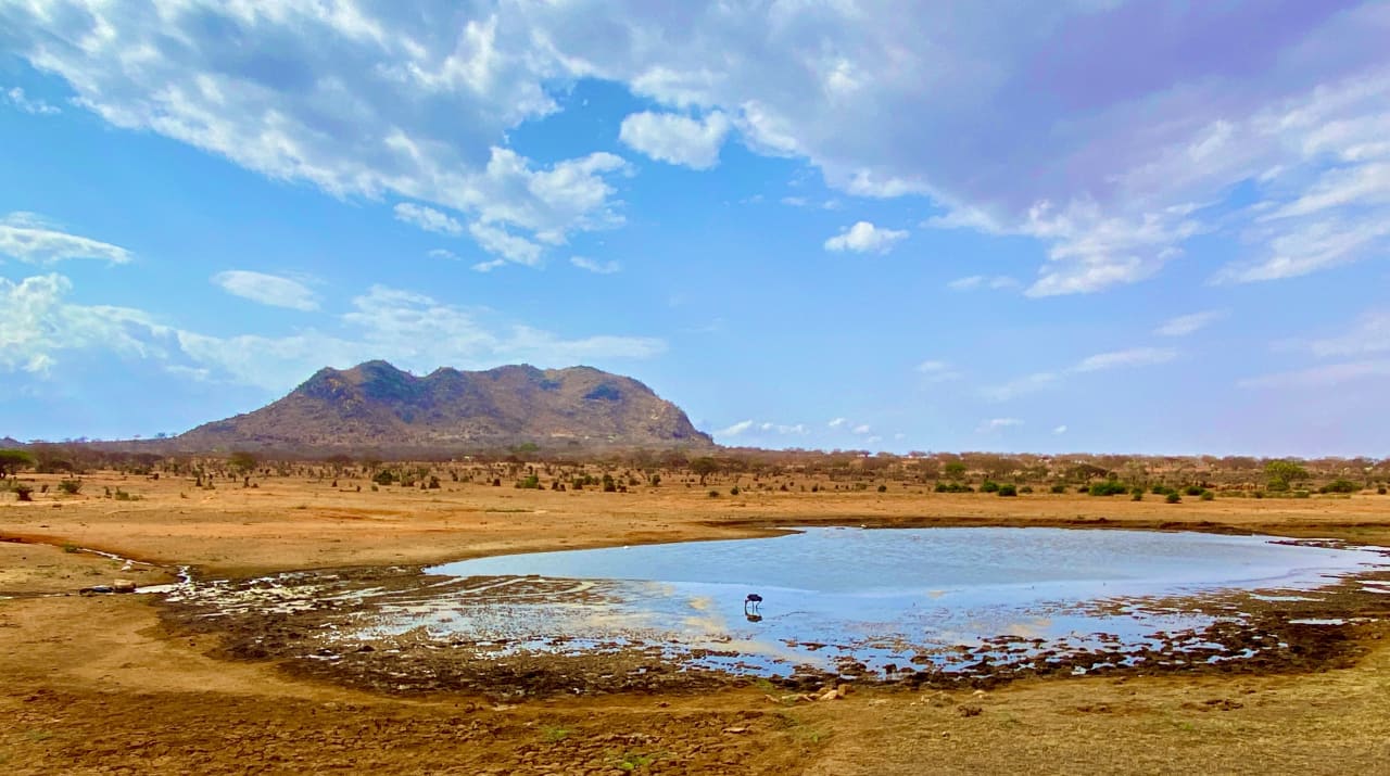 Ausblick Voi Wildlife Lodge