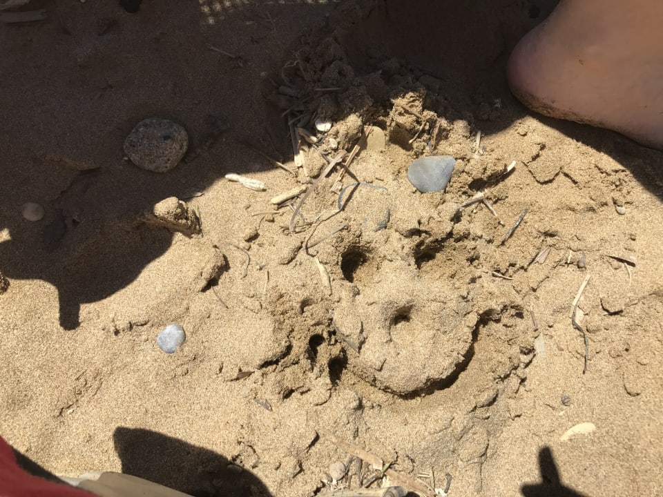 Strand HARPIN Happy Days Beach Hotel