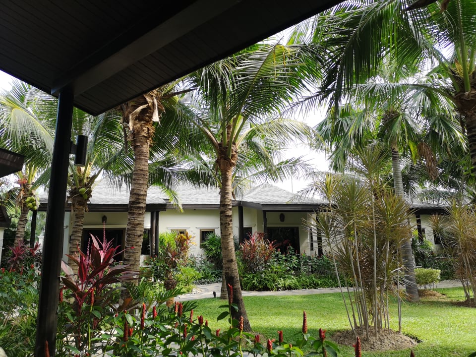 Gartenanlage Jurassic Mountain Resort & Fishing Park