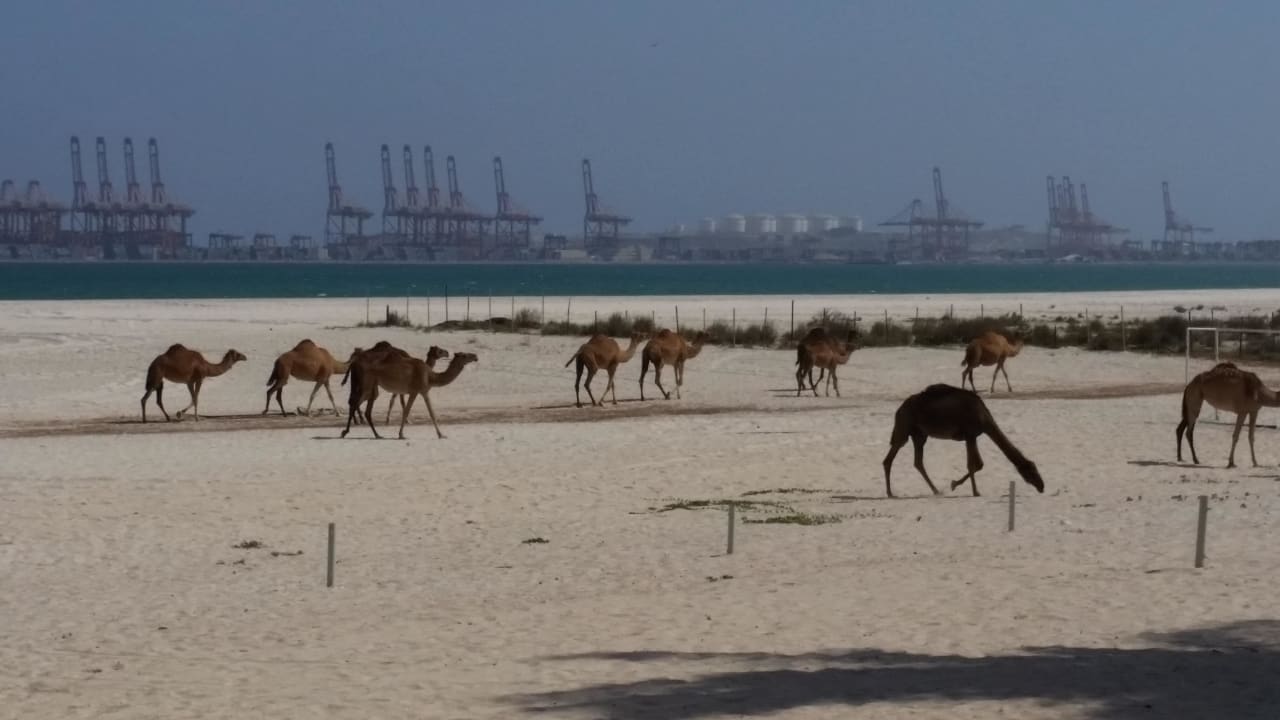Strand Hilton Salalah  Resort