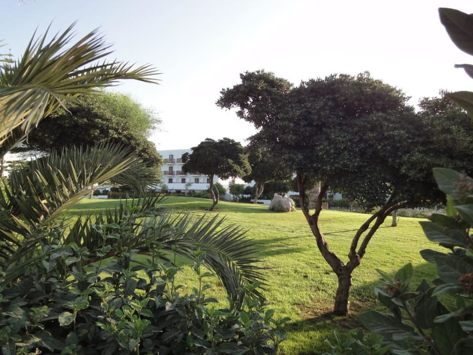 Gepflegte Gartenanlage TUI BLUE Oceanis Beach and Spa Resort