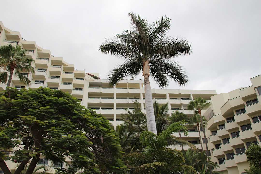 Hôtel H10 Las Palmeras - La Vue 2014 H10 Las Palmeras