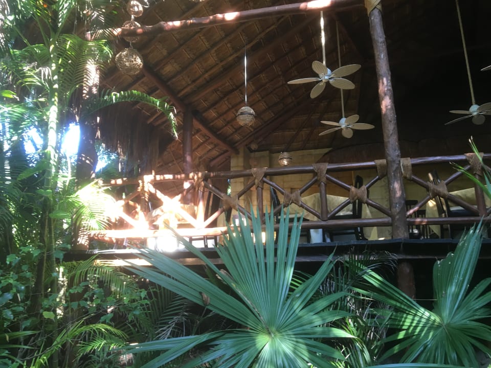 Gastro Viva Azteca by Wyndham - All Inclusive Resort