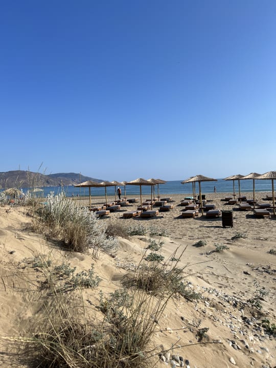 Strand Delfina Boutique Hotel