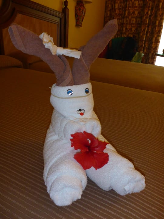 Zimmer Hotel Riu Tequila