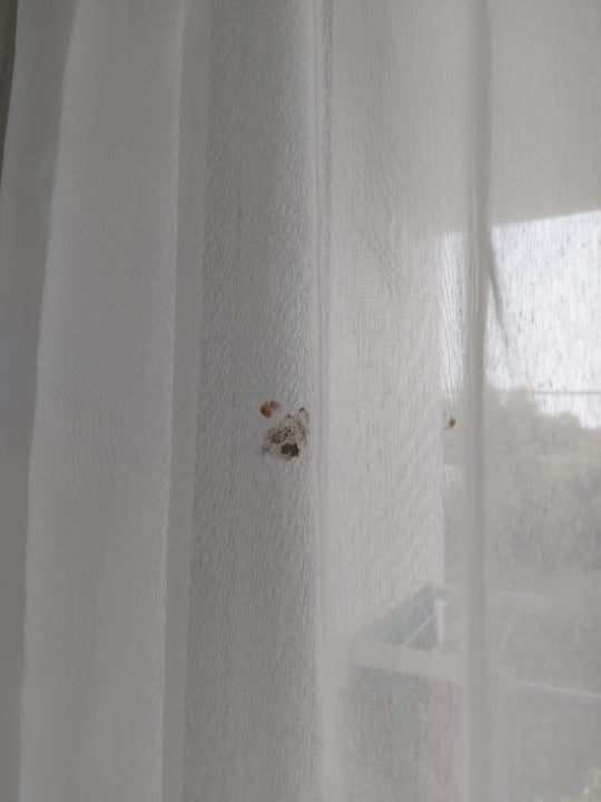 Zimmer Nasos Hotel & Resort