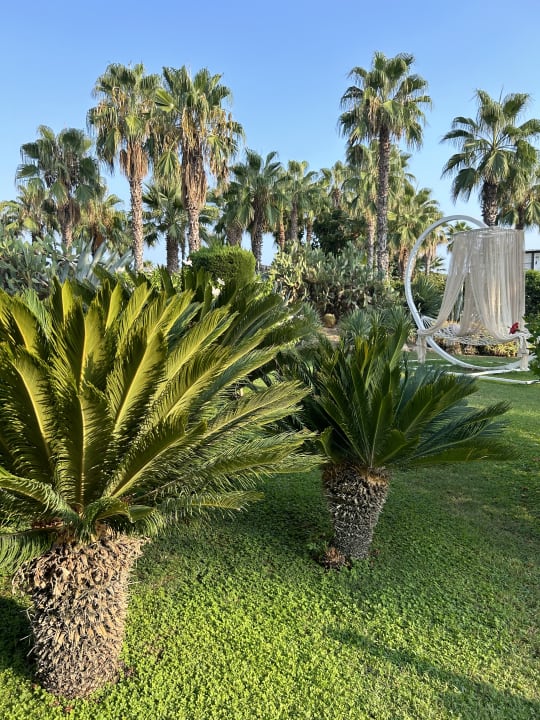 Gartenanlage VONRESORT Golden Coast