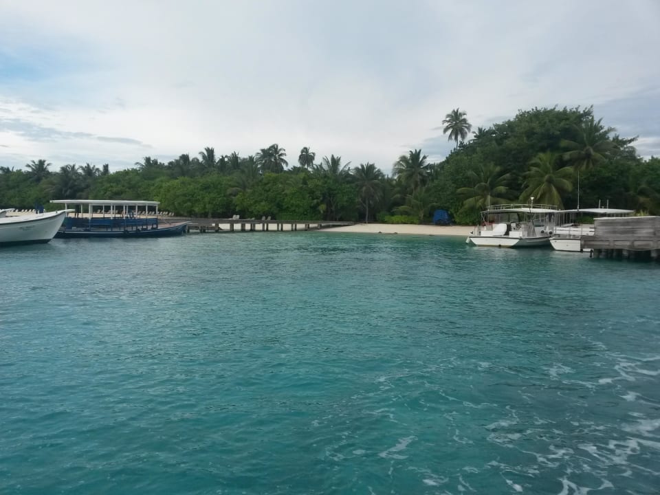 Blick auf die insel Kuramathi Maldives