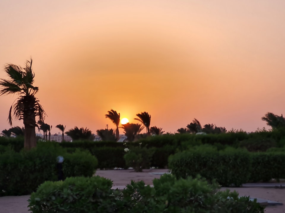 Gartenanlage Hurghada Long Beach Resort