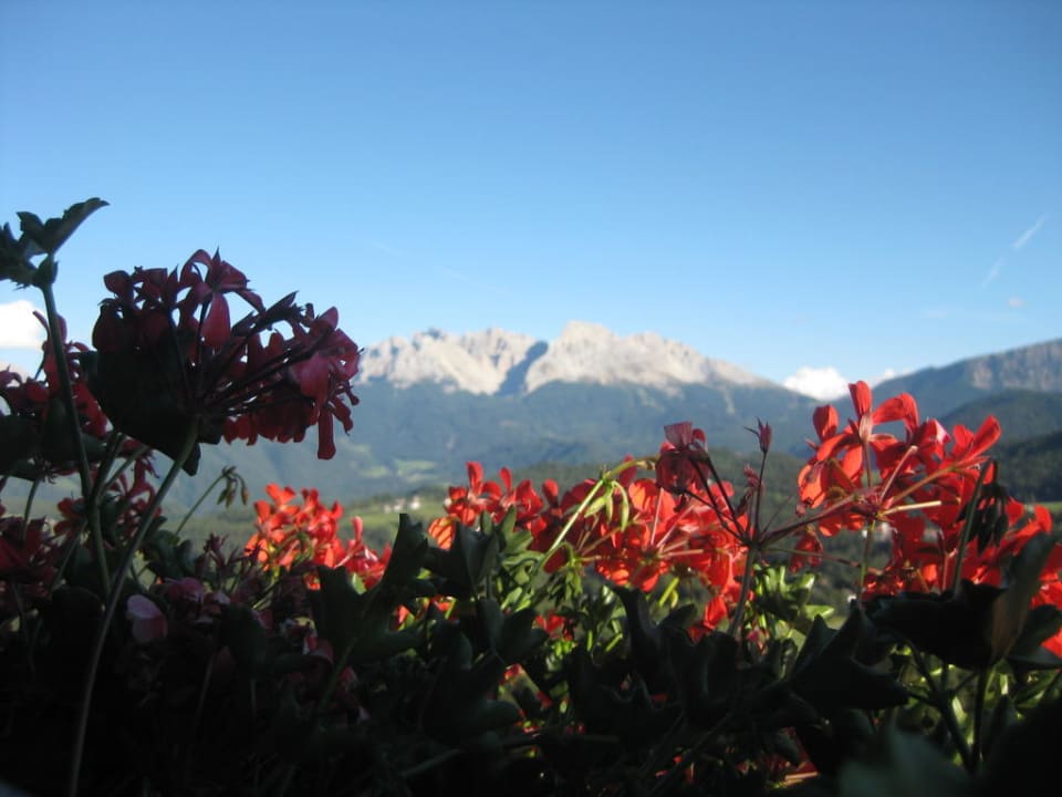 Direkt vom Balkon Panoramahotel Obkircher