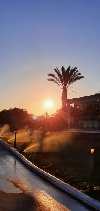 Gartenanlage Sandy Beach Resort