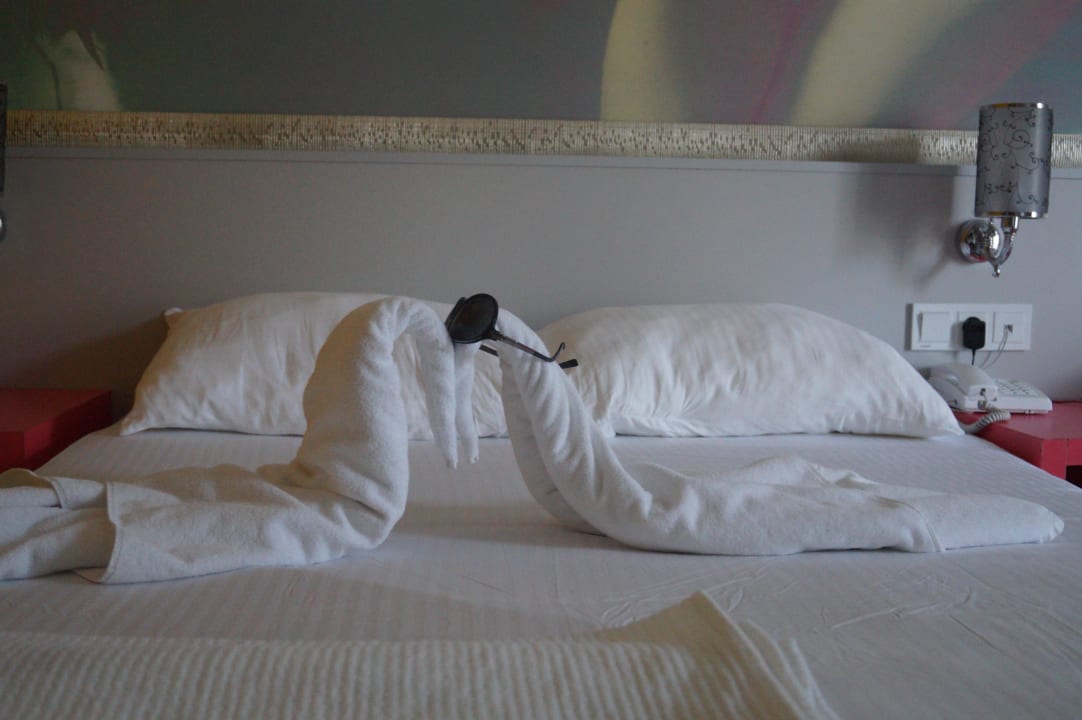 Крутые лебеди Club Hotel Anjeliq