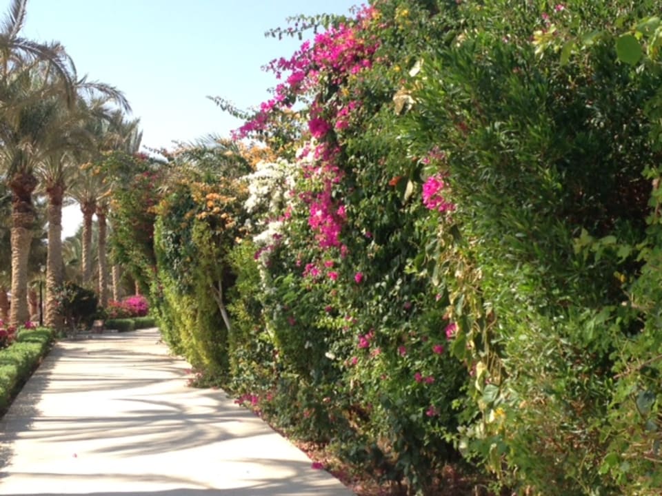 Außenansicht Brayka Bay Resort