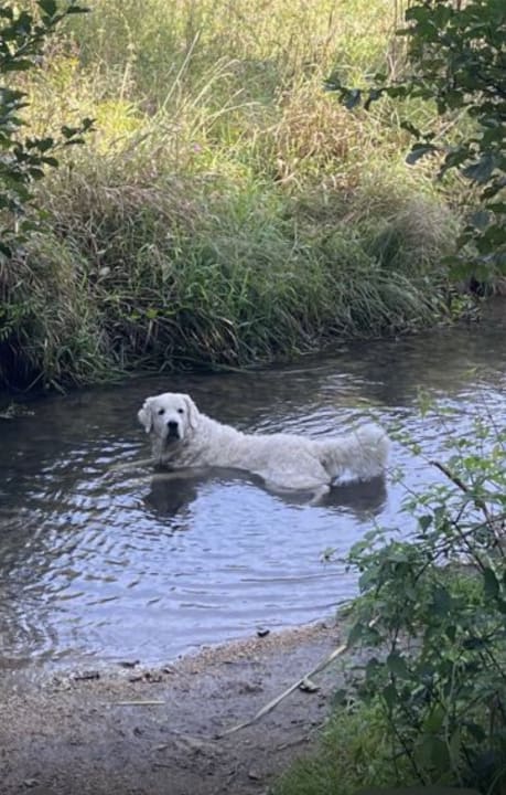 Außenansicht Hotel Seehof Tauer