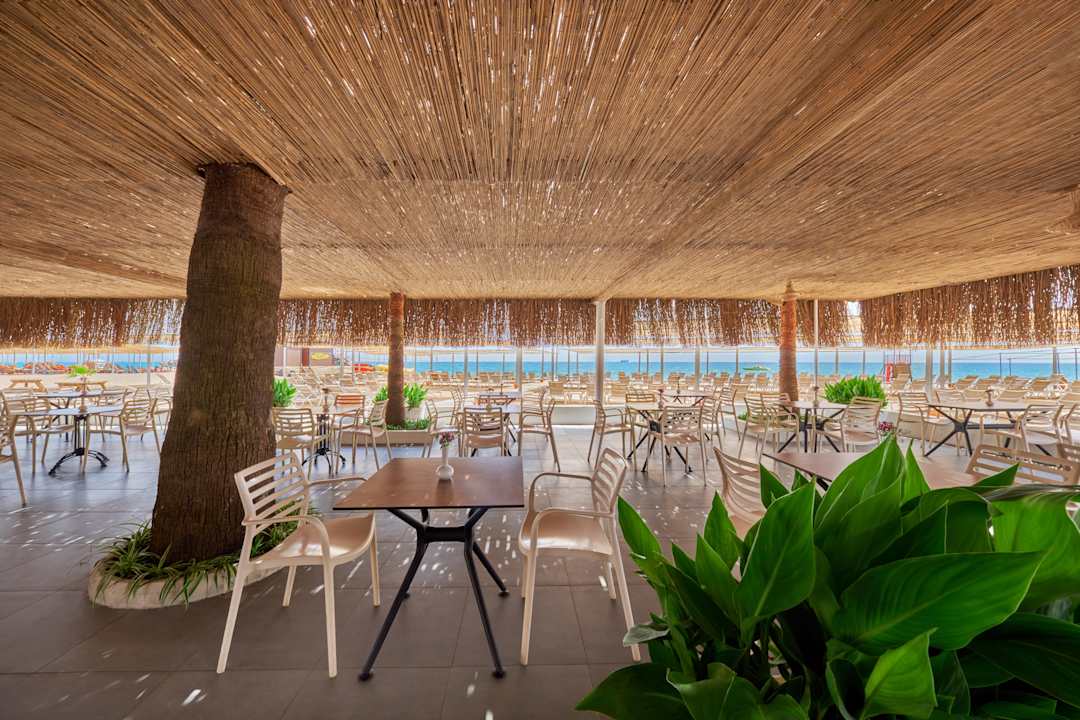 Gastro Asteria Collection Side