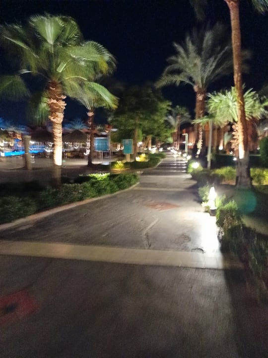 Gartenanlage Jaz Makadi Oasis Resort