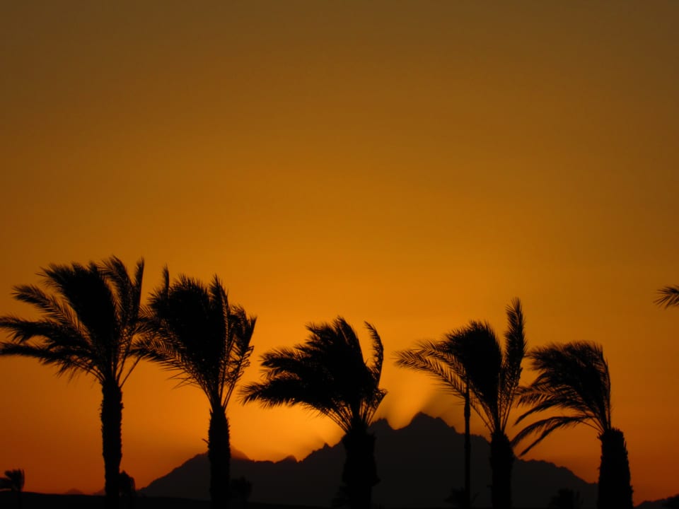 Ausblick Old Palace Resort Sahl Hasheesh