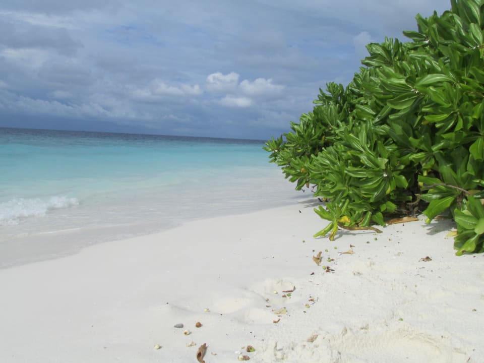 Strand Fihalhohi Maldives