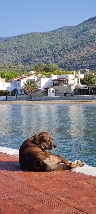 Strand Dogan Paradise Beach
