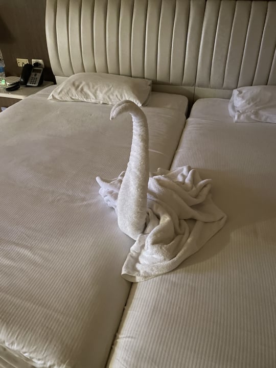 Zimmer Pickalbatros Citadel Resort