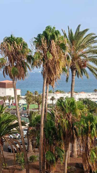 Sonstiges allsun App.-Hotel Esquinzo Beach