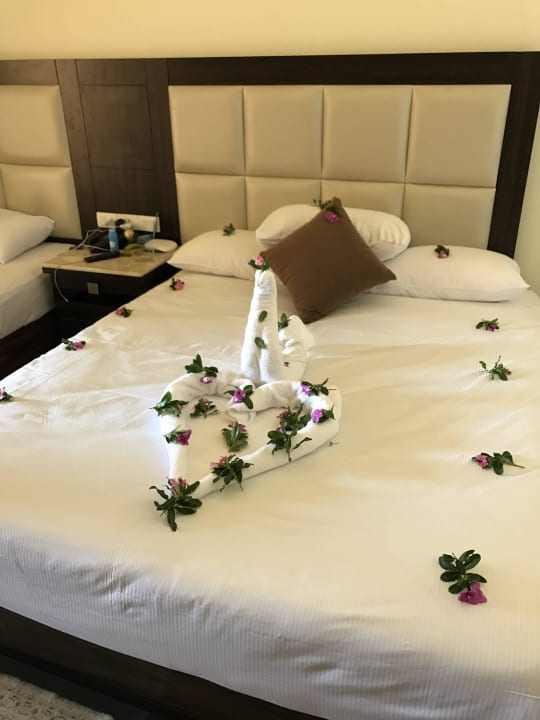 Nett  Pickalbatros Aqua Blu Resort - Sharm El Sheikh