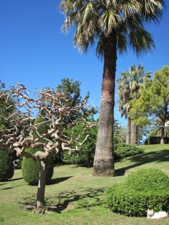 Schöne grüne Anlage; sehr gepflegt Side Star Elegance
