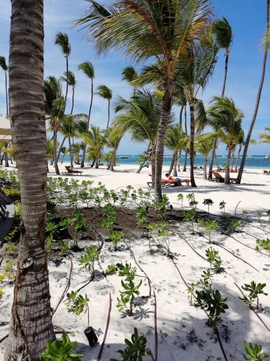 Außenansicht Lopesan Costa Bávaro Resort, Spa & Casino