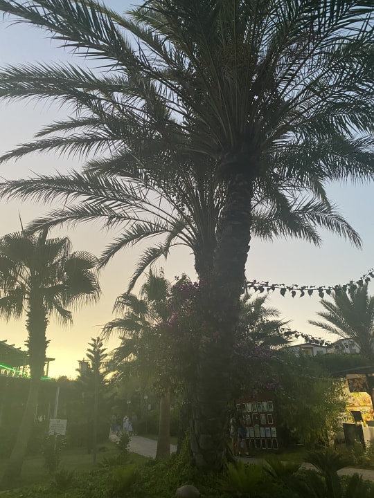 Gartenanlage Seaden Sea Planet Resort & Spa